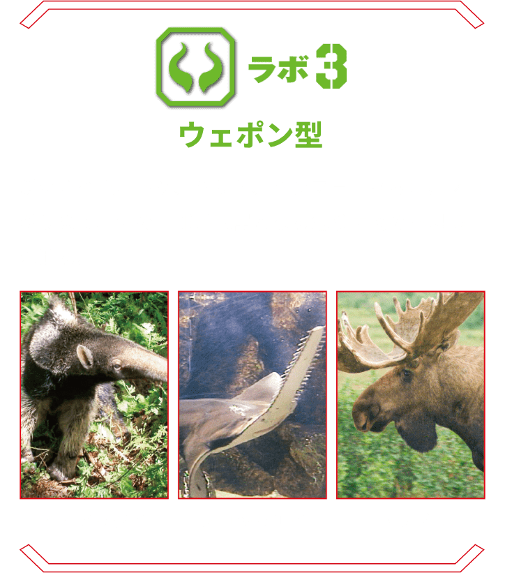 ラボ3 ウェポン型 | 鋭い角や爪、トゲ、ハサミ、ハンマー、さらにはノコギリまで。体の一部が武器となる危険生物の不思議に迫る。 オオアリクイ ノコギリエイ ヘラジカ