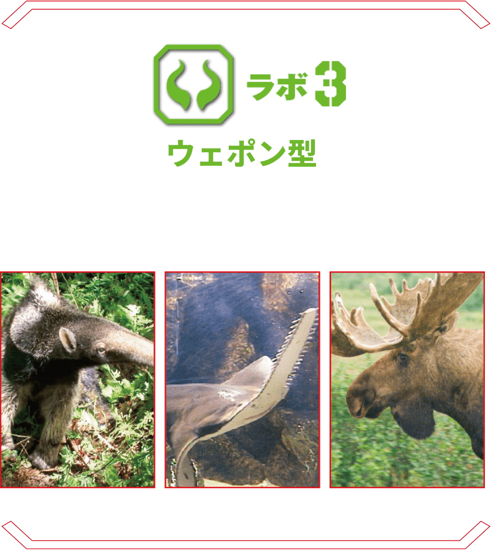 ラボ3 ウェポン型 | 鋭い角や爪、トゲ、ハサミ、ハンマー、さらにはノコギリまで。体の一部が武器となる危険生物の不思議に迫る。 オオアリクイ ノコギリエイ ヘラジカ
