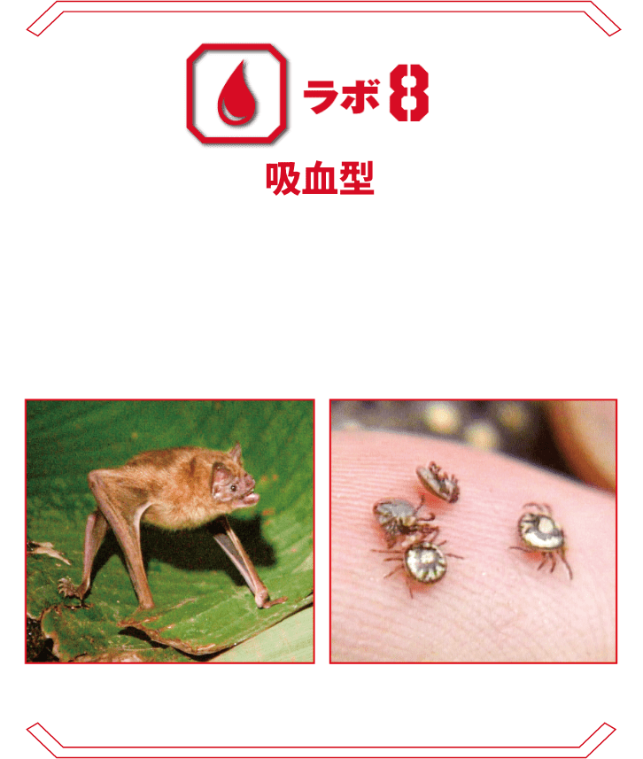 ラボ8 吸血型 | 脅威の吸血生物たち。血を吸うだけでなく、媒介される感染症の危険性を拡大模型でわかりやすく解説。 チスイコウモリ マダニ