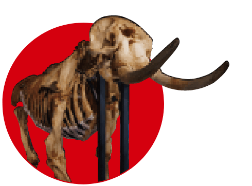 ようこそ！秘密の危険生物研究所へ！