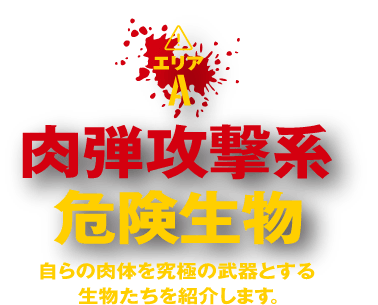 エリアA『肉弾攻撃系危険生物』自らの肉体を究極の武器とする生物たちを紹介します。