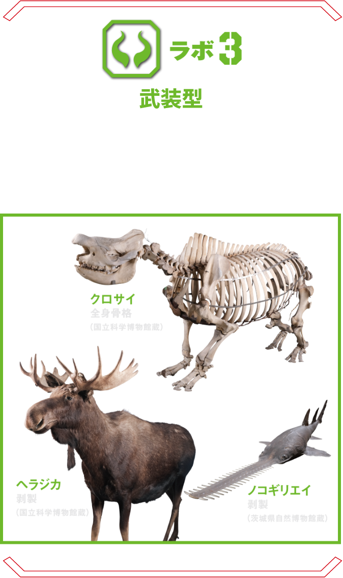 ラボ3 武装型 | 鋭い角や爪、トゲ、ハサミ、ハンマー、さらにはノコギリまで。体の一部が武器となる危険生物の不思議に迫る。 オオアリクイ ノコギリエイ ヘラジカ