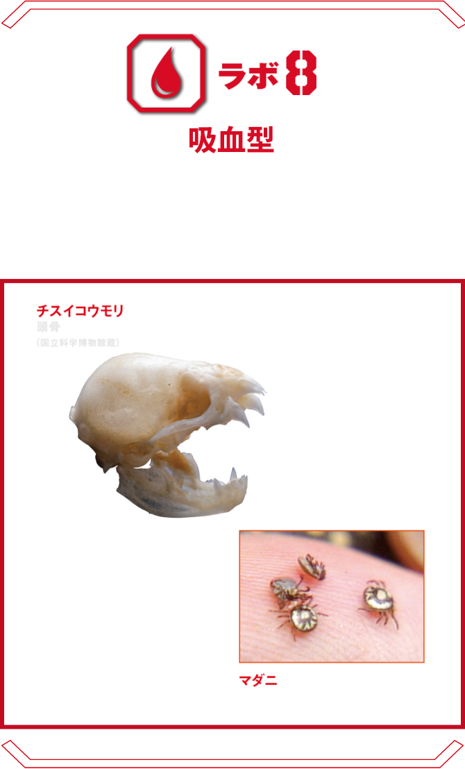 ラボ8 吸血型 | 脅威の吸血生物たち。血を吸うだけでなく、媒介される感染症の危険性を拡大模型でわかりやすく解説。 チスイコウモリ マダニ