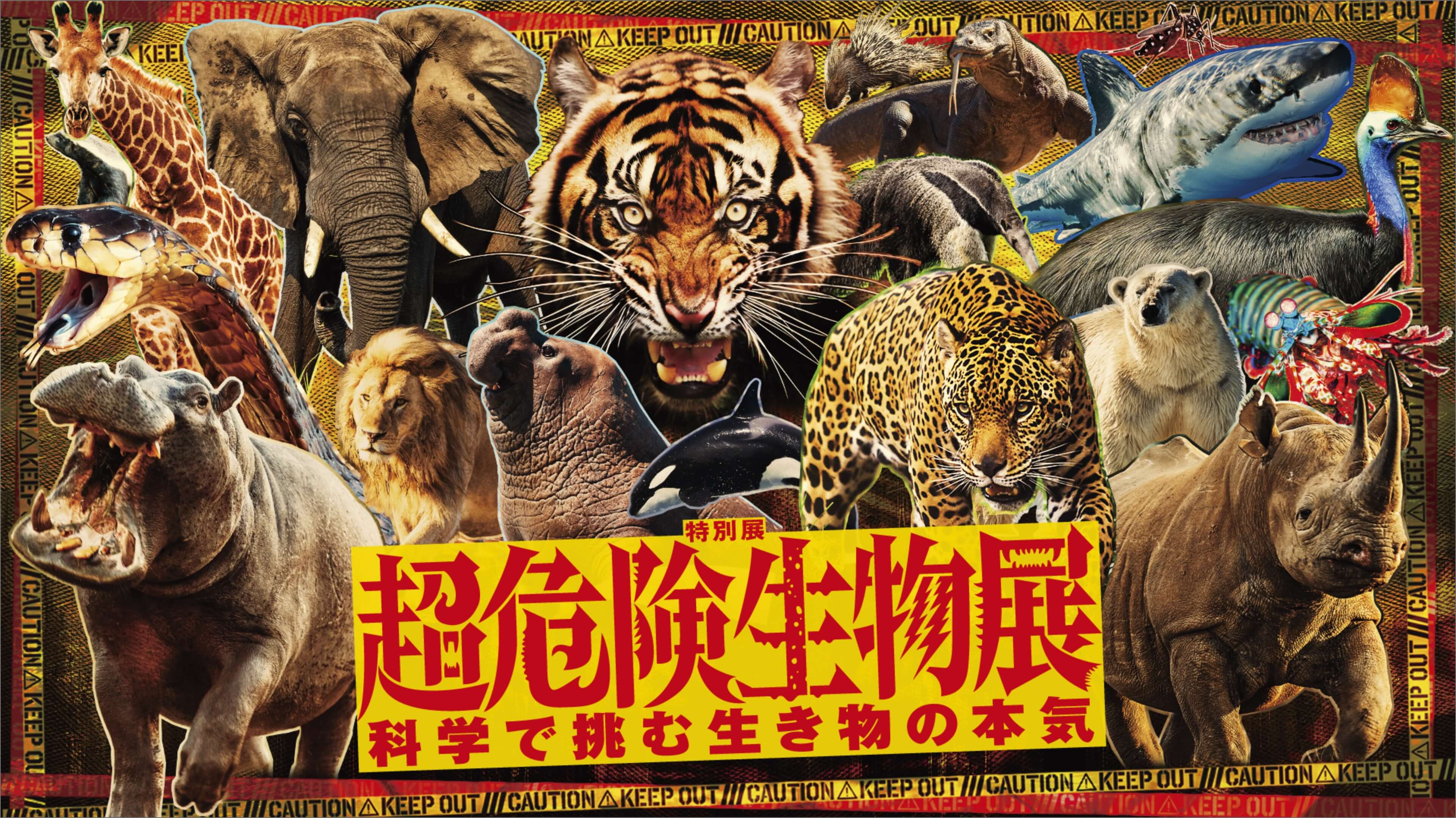 超危険生物展