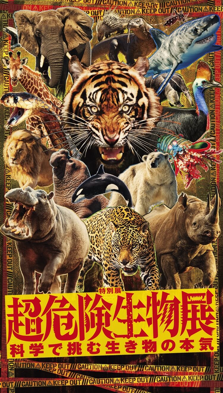 超危険生物展