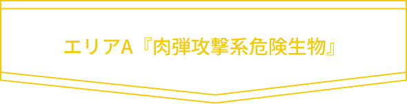 エリアA『肉弾攻撃系危険生物』