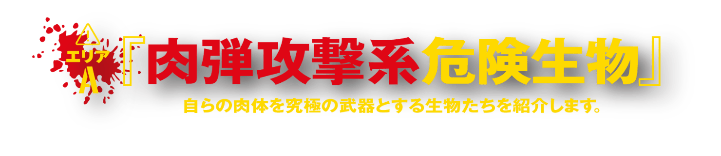 エリアA『肉弾攻撃系危険生物』自らの肉体を究極の武器とする生物たちを紹介します。