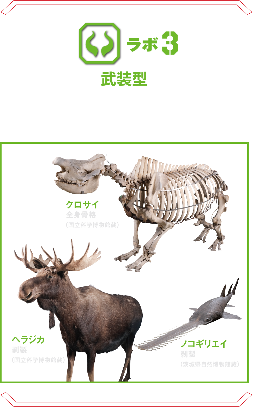 ラボ3 武装型 | 鋭い角や爪、トゲ、ハサミ、ハンマー、さらにはノコギリまで。体の一部が武器となる危険生物の不思議に迫る。 オオアリクイ ノコギリエイ ヘラジカ