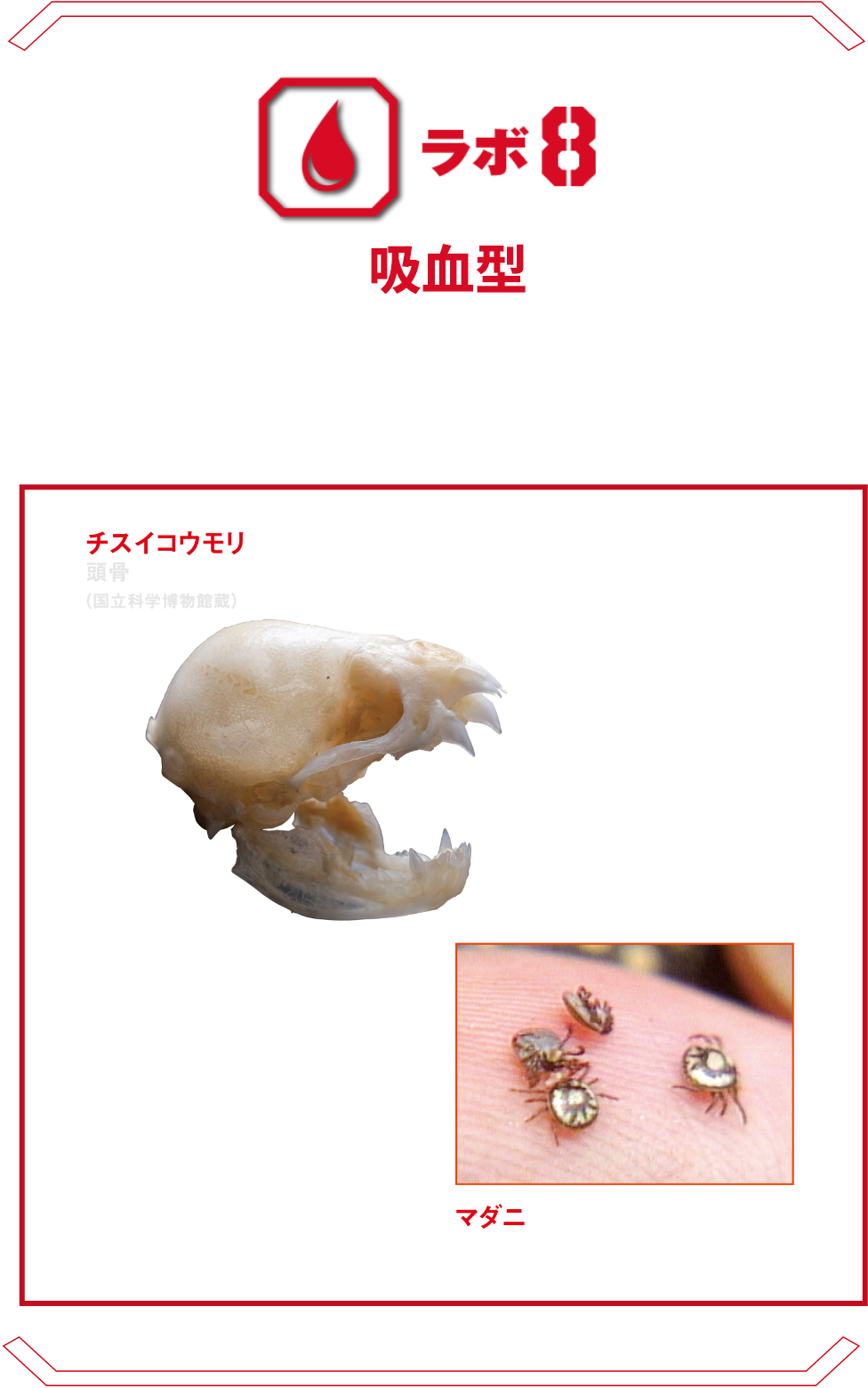 ラボ8 吸血型 | 脅威の吸血生物たち。血を吸うだけでなく、媒介される感染症の危険性を拡大模型でわかりやすく解説。 チスイコウモリ マダニ