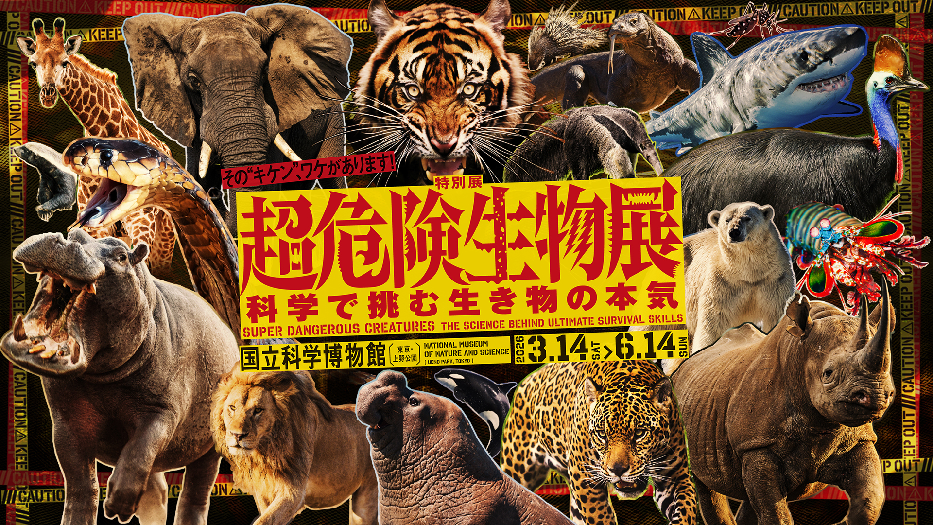 超危険生物展 科学で挑む生き物の本気 | 国立科学博物館 2026年3月14日(土)~6月14日(日)