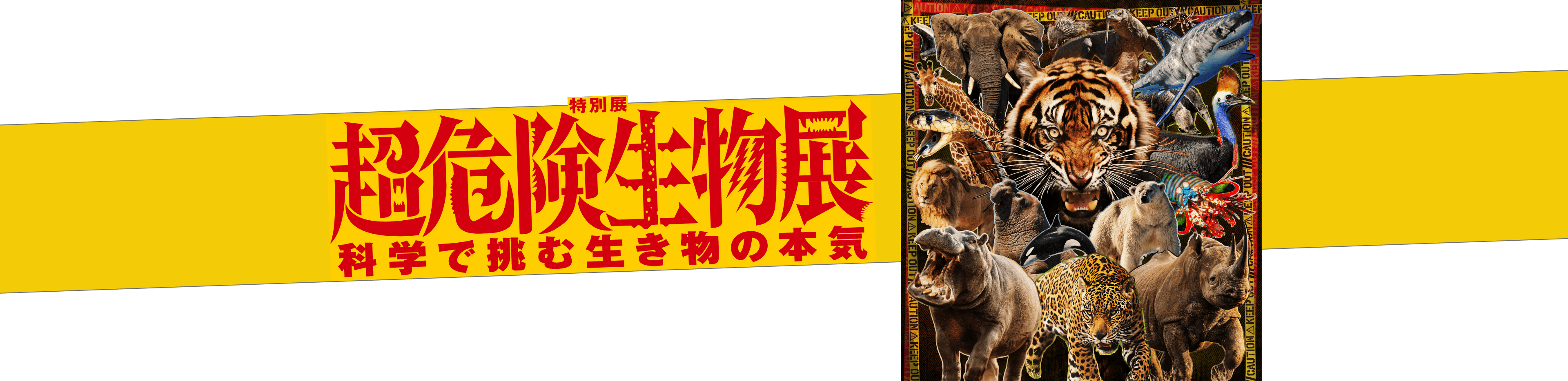 超危険生物展　科学で挑む生き物の本気